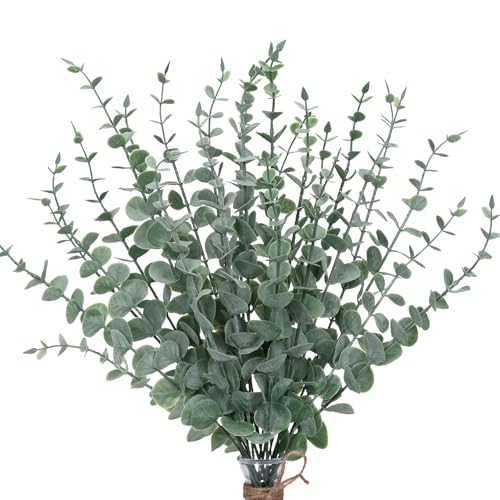 Silver Dollar Eucalyptus Stems
