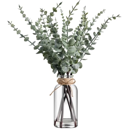Eucalyptus in a Fashionable Vase