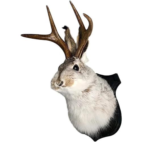 Wall-Mounted Faux Antlers