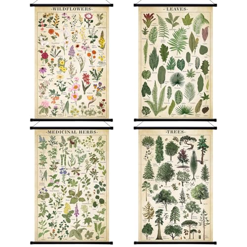 Framed Botanical Posters