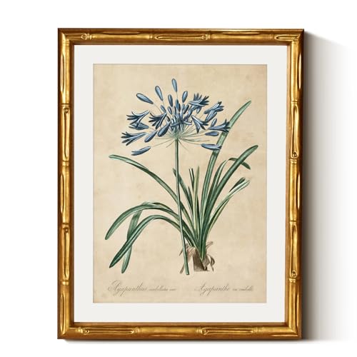 Framed Botanical Art Pieces