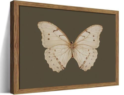 Butterfly Artwork with Frames