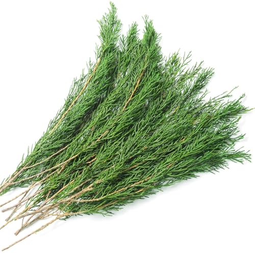 Fresh Pine Garland