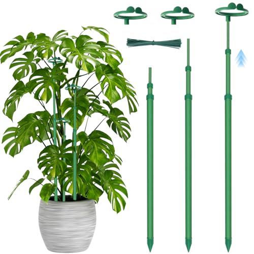 Garden Plant Shaping Tools