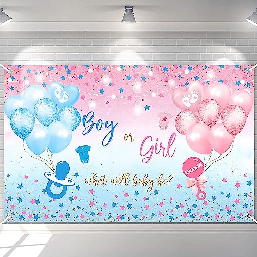 Gender Reveal Backdrop Banner