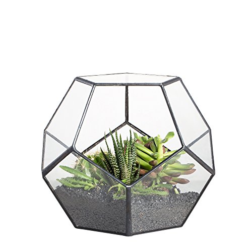 Geometric Glass Terrarium