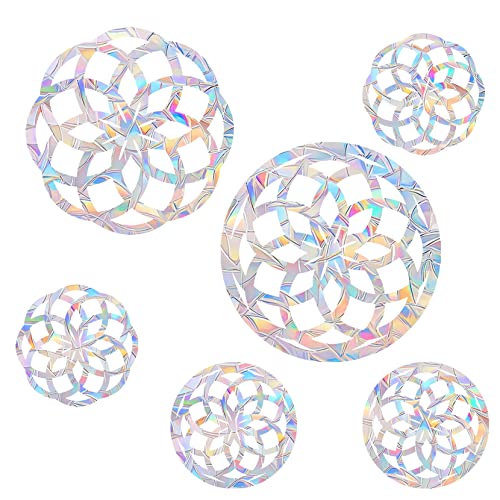 Geometric Window Decals