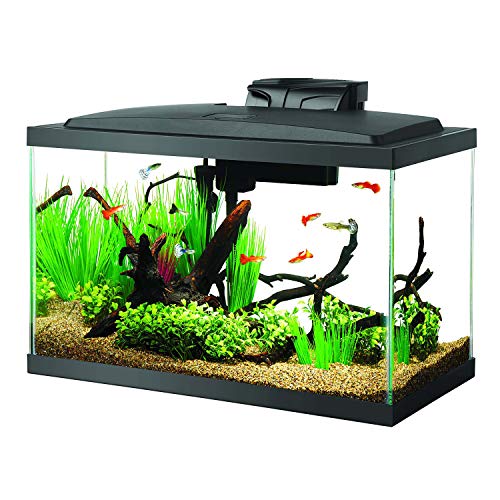 Glass Aquarium Kit