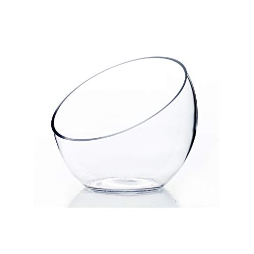 See-Through Bowl Terrarium