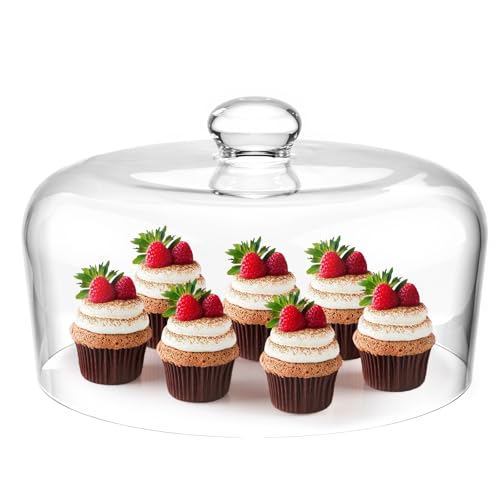 Elegant Glass Cake Dome