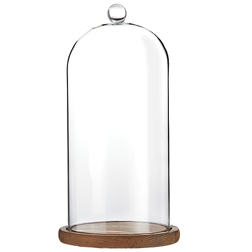 Glass Cloche Display Dome