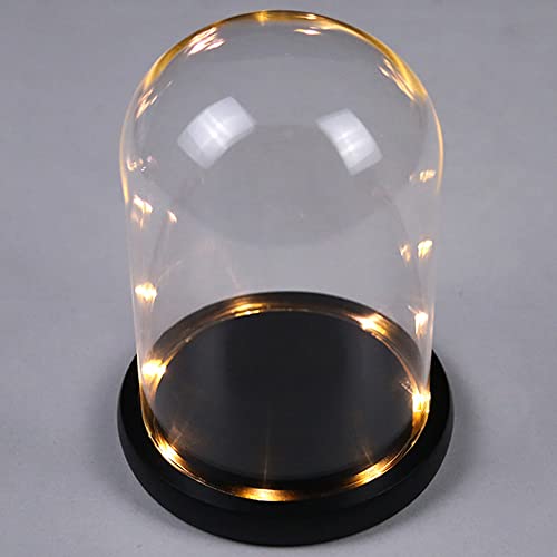 LED Lit Dome Display