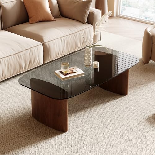 Coffee Table with Glass