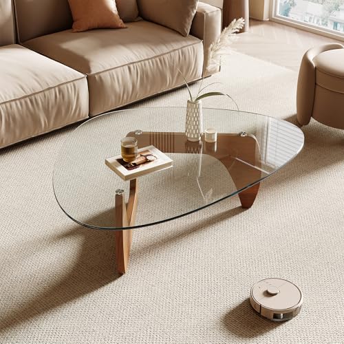 See-Through Coffee Table