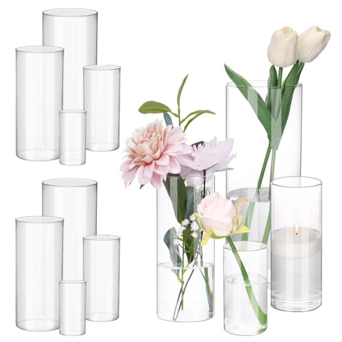 Glass Cylinder Vases Set