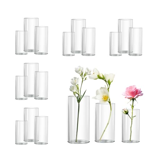Glass Cylinder Vases Set