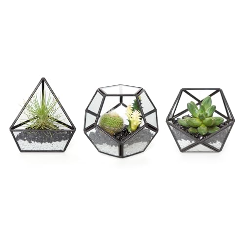 See-Through Geometric Plant Holder