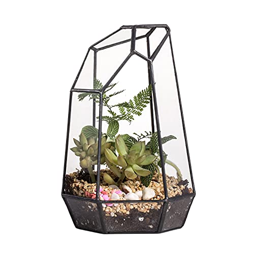 Glass Geometric Terrarium