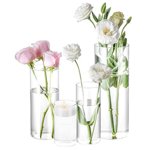 Transparent Table Vase