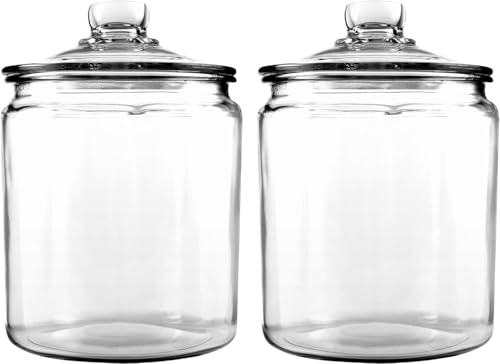 Glass Terrarium Jar with Lid
