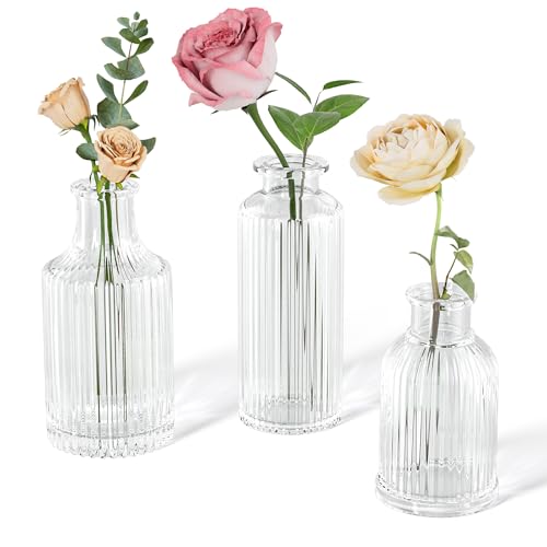 Set of Glass Vases