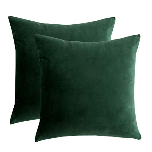 Ornamental Verdant Pillows