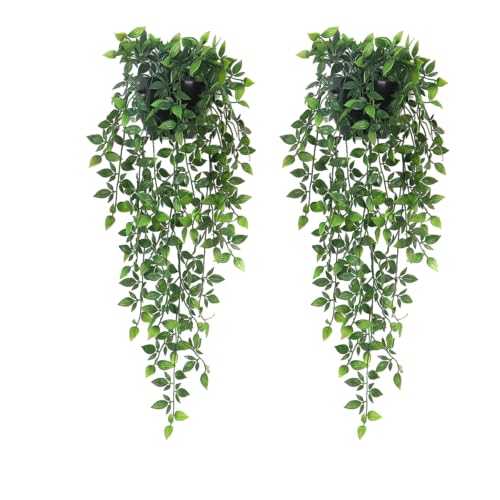 Hanging Greenery Planter