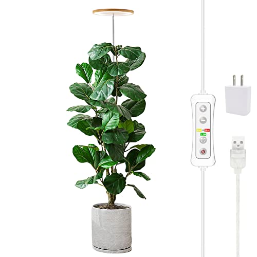 Hanging Indoor Plant Light