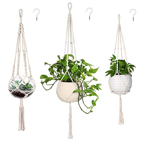 Suspended Plant Racks