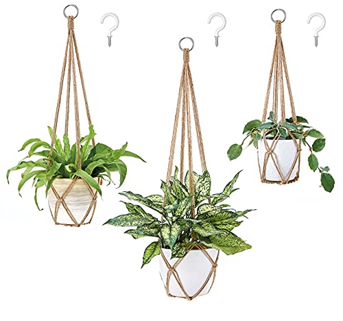 Holder for plants in pots that hang