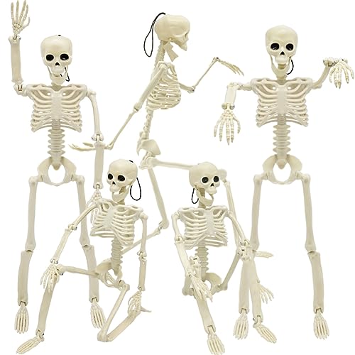 Hanging Skeleton Decor