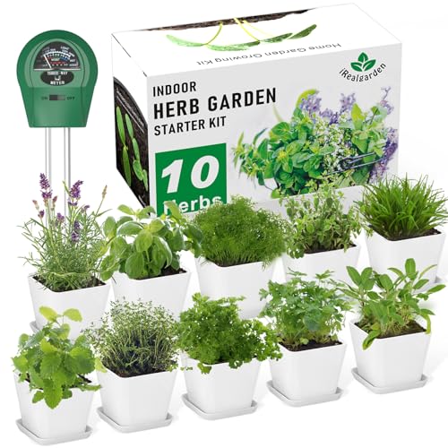 Starter Herb Garden Kit for Windowsills