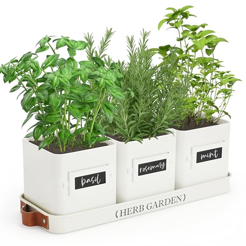 Herb Garden Windowsill Set
