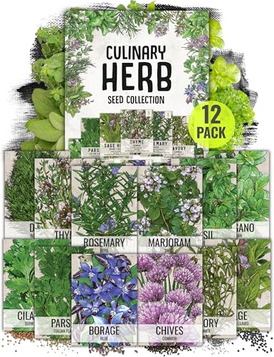 Herb and Vegetable Seeds Variety Pack
