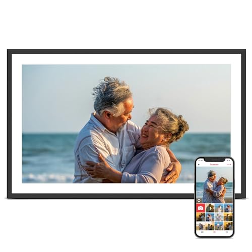 High-Resolution Digital Picture Display