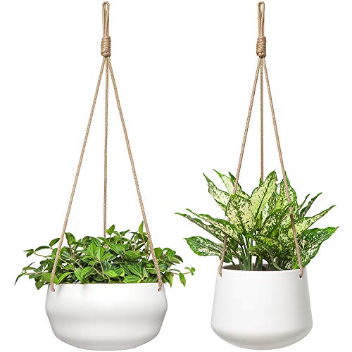 Indoor Hanging Planters