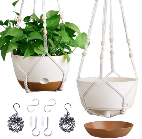 Indoor Hanging Planters