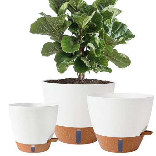 Indoor/Outdoor Plant Pots