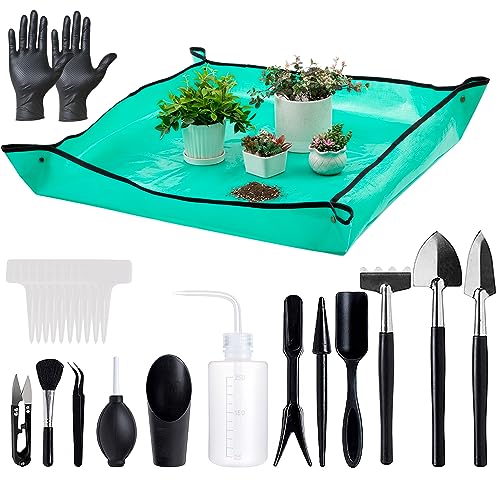 Plant Care Kits