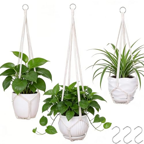 Indoor Plant Hangers
