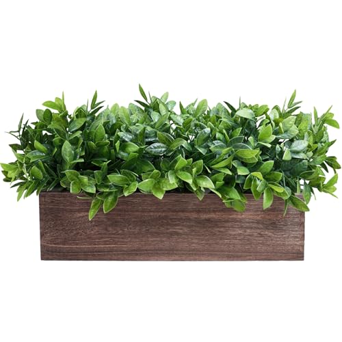 Indoor Greenery Planters