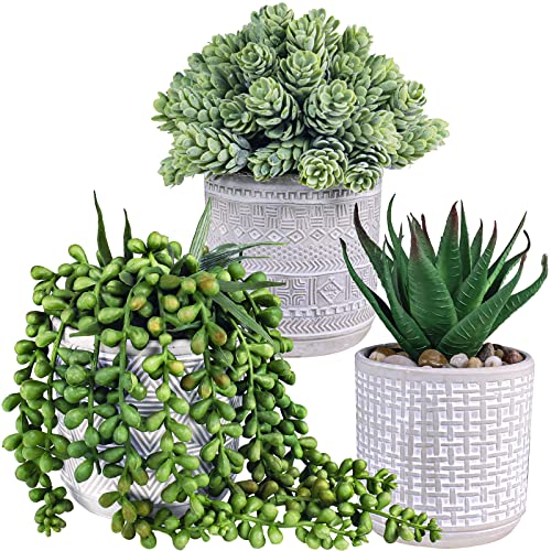 Indoor Potted Plant Set