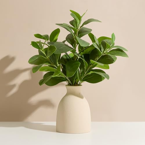 Indoor Potted Greenery