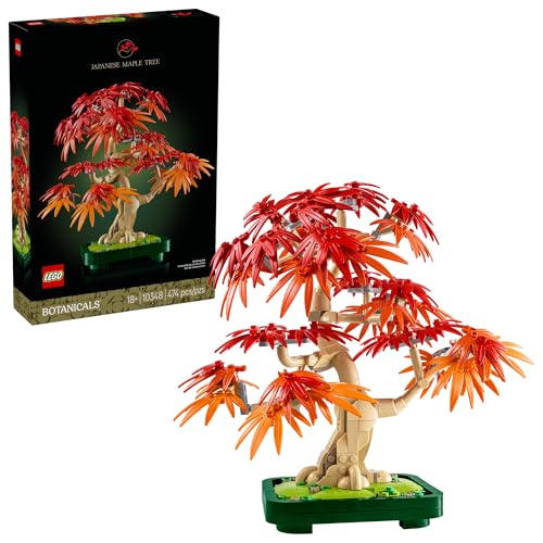 Miniature Japanese Maple Tree