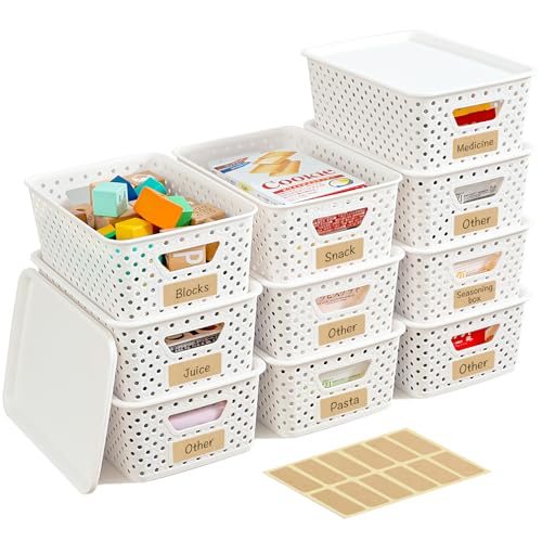 Stackable Labeled Storage Bins