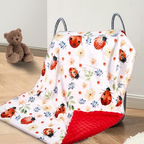 Ladybug Themed Baby Blanket