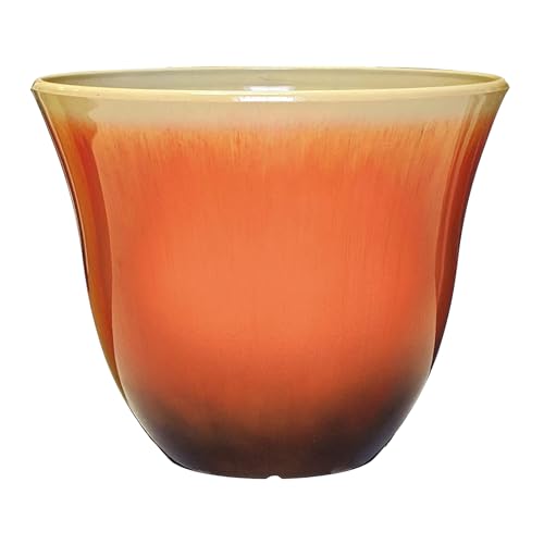 Vibrant Patio Containers