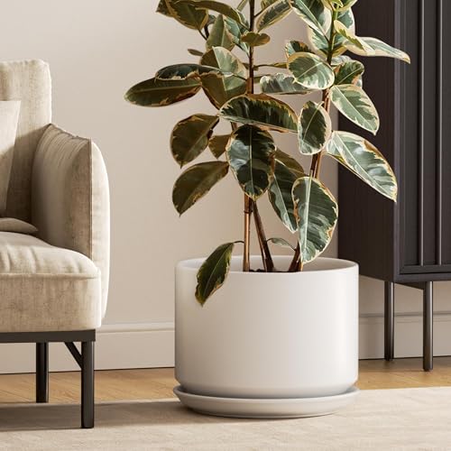 Large Floor Plant Pot