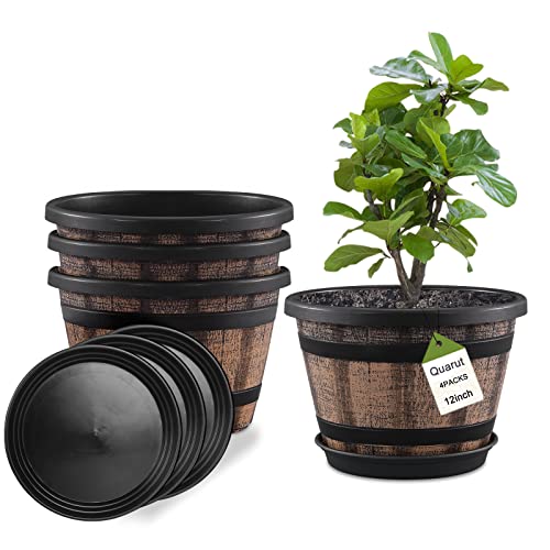 Large Outdoor Planters