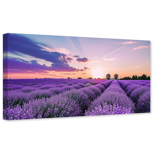 Lavender Field Artistry